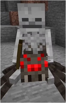 Skeleton