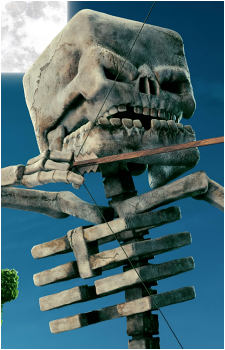 Skeleton