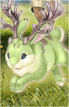 Danger!? Jackalope?