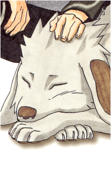 Akamaru