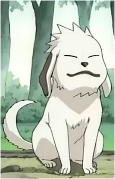Akamaru