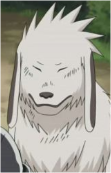 Akamaru