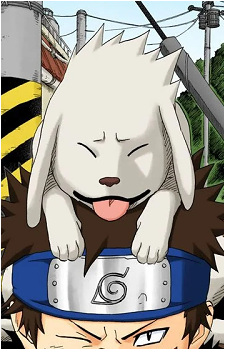 Akamaru