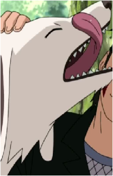 Akamaru