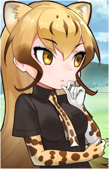 King Cheetah