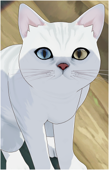 Osse (Cat)'s image