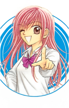 Image 3 Image 3
