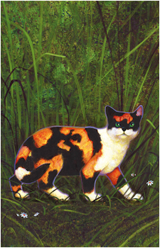 Tawnypelt