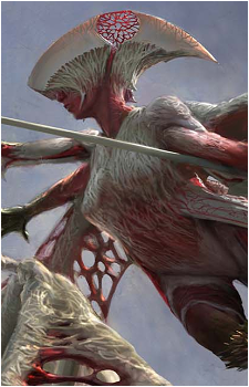 Ixhel's image