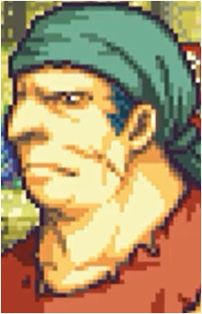 Bandit's image