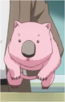 Wombat
