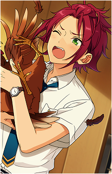 Mao Isara