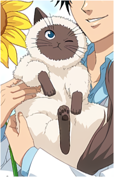 Karupin