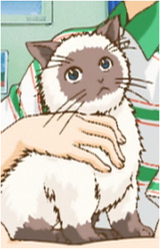 Karupin