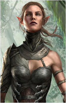 Sebille's image