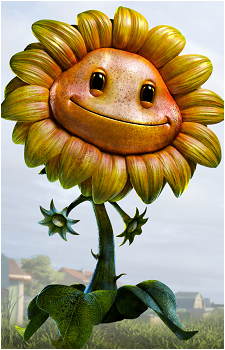 Sunflower