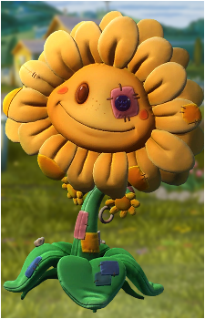 Sunflower