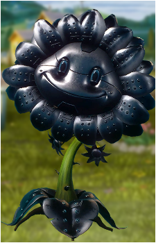 Sunflower