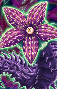 Predaplant Stapeliaworm's image