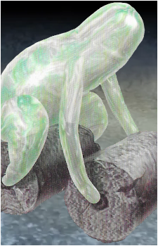 Waterwraith's image