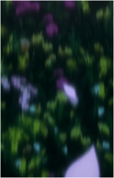 Image 30