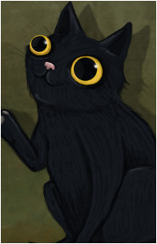Mr. Midnight's image