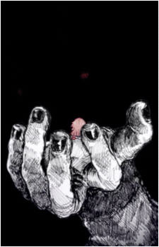 Image 23