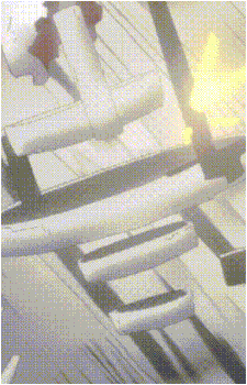 Hidomi Hibajiri