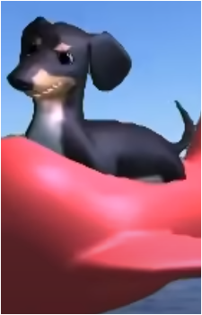 The Dog's image