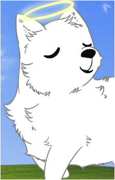 Gabe the Dog