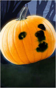Image 3 - Art: arfsama Image 3