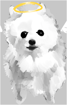 Gabe the Dog