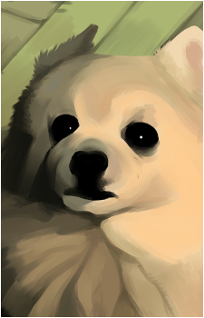 Gabe the Dog