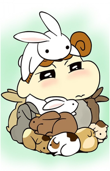 Himawari Nohara's image