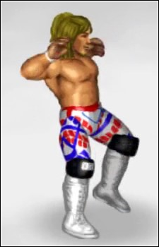 Hiroshi Tanahashi