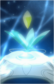 Image 5 Image 5