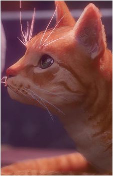 Fuzzbutt's image