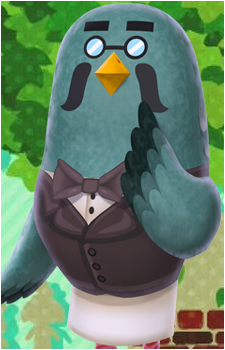 Brewster's image