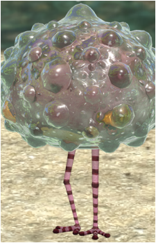 Calcified Crushblat's image