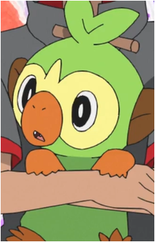Image 4 Image 4
