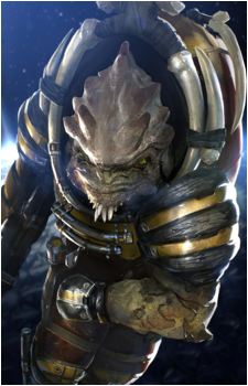 Image 3 Image 3