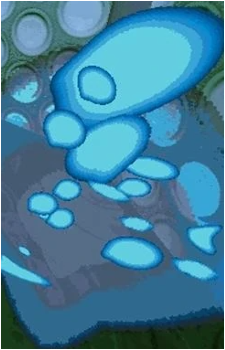 The Graak's image