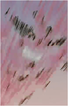 Image 33