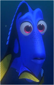 Dory