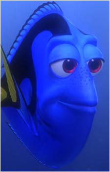 Dory