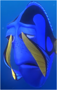 Dory