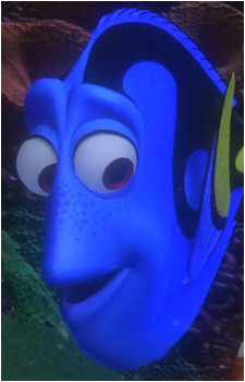 Dory