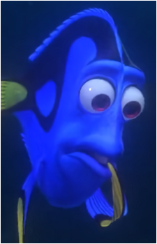 Dory