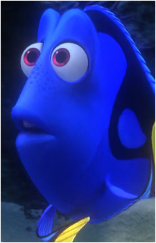 Dory