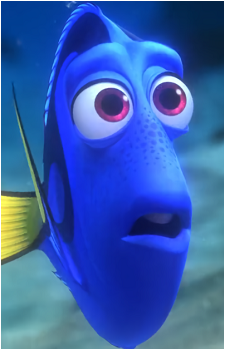 Dory